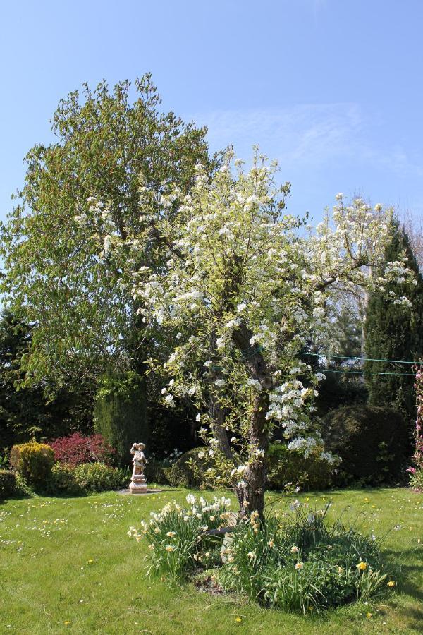 B&B Elbahof, Goed En Goedkoop! Hem Dış mekan fotoğraf
